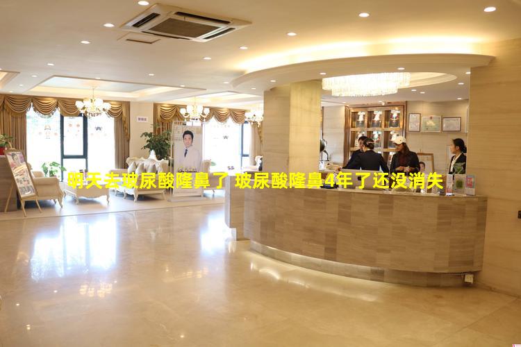 明天去玻尿酸隆鼻了 玻尿酸隆鼻4年了还没消失